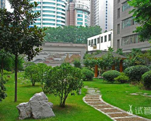 试管婴儿包成功是真的吗？能否找这家做试管？重庆北部妇产医院