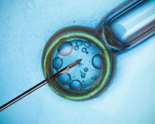 重庆多发性子宫肌瘤医院,「重庆妇幼保健院试管婴儿费用大约多少」试管婴儿