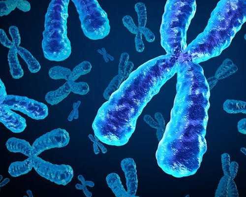 代怀电话多少_代怀女孩,老婆不能正常生育，我想做试管婴儿，费用能用社保卡