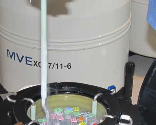 找重庆三医院最牛大夫做试管，挂号时间是什么时候？