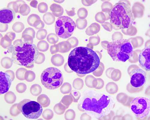 试管供卵机构_地下供卵可靠吗,云浮试管婴儿供卵费用,中国供卵试管婴儿医院