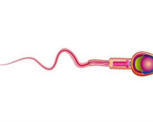 能做供卵试管_借卵供卵生子电话,北京供卵试管多少钱，供卵试管套餐哪里便宜