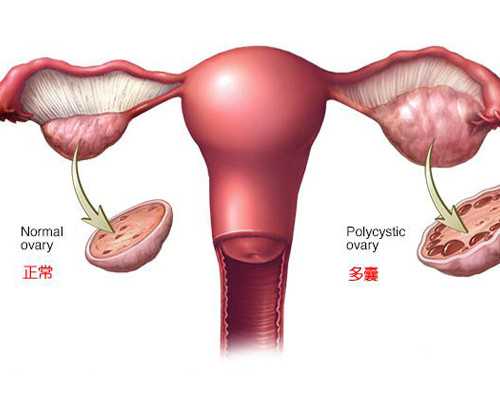 供卵成功率大吗_供卵试管费用,平凉供卵试管婴儿个人空间