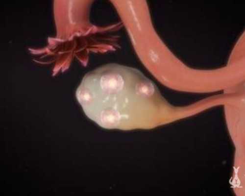 重庆顺产和剖腹产待产包的区别?,2026
年重庆供卵试管婴儿医院供卵生男孩单周