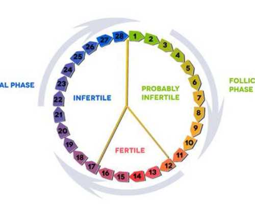 黑豆能促排卵吗-检测卵泡做阴超疼不疼