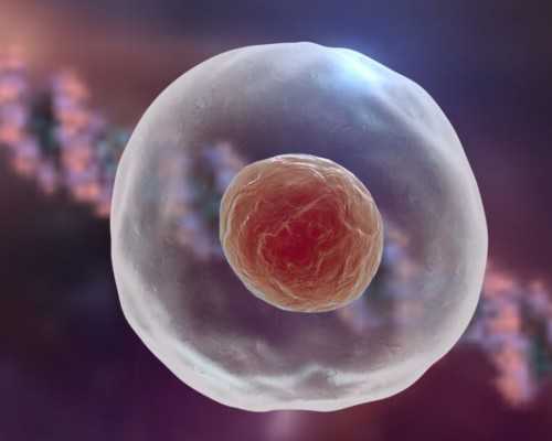 重庆看不孕不育要多少钱