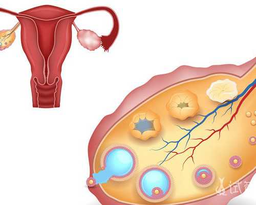 代怀生男宝价格_哪里有代怀公司,上海供卵试管代怀助孕生子机构排名,附助孕机