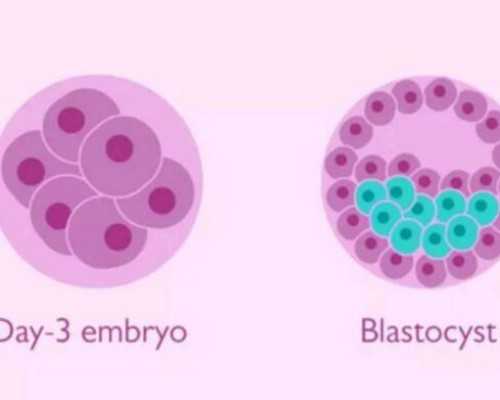 供卵要多少钱_靠谱的供卵中心,株洲做供卵试管大概多少钱，供卵助孕收费详情