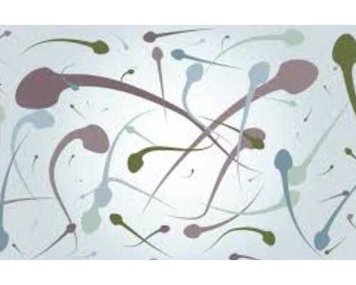 株洲一周疫情数据动态流动趋势图,有习惯性流产怎么办？做三代试管能避免吗