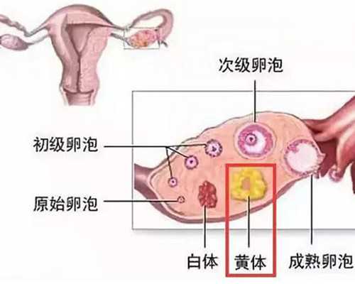 高龄供卵试管婴儿_供卵试管中介,2026
江西省供卵机构排名，试管供卵助孕攻略