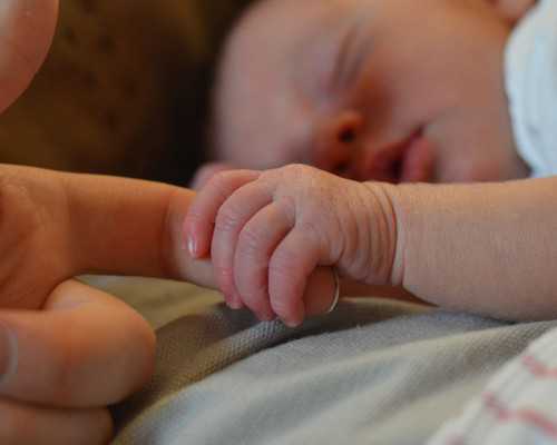 国内供卵合法吗_做供卵试管助孕,同性恋要生孩子找供卵供卵试管生子机构