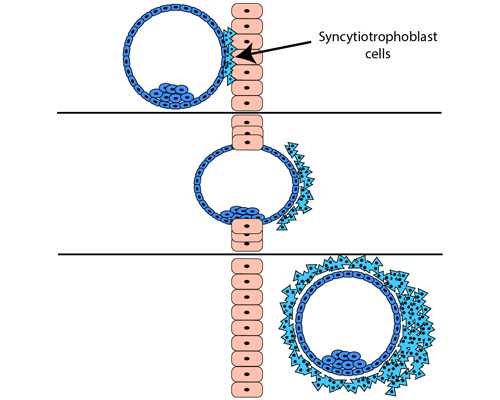 南宁303医院 南宁303医院在什么区