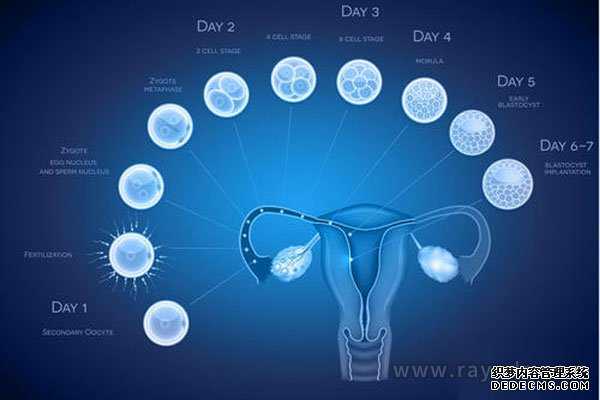 金贝供卵生殖中心_供卵助孕流程_试管婴儿反复失败究竟是为什么?