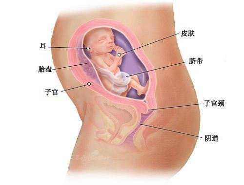 我准备去重庆红房子医院做试管婴儿了那里好不好啊，给点建议，谢谢了
